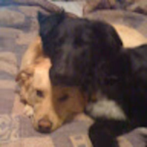 Meet your Posher, Gwen